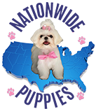 Nationwide Puppy